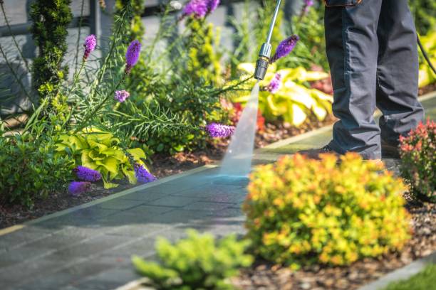 Professional Pressure Washing in Urbandale, IA